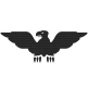 author icon