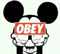 author icon