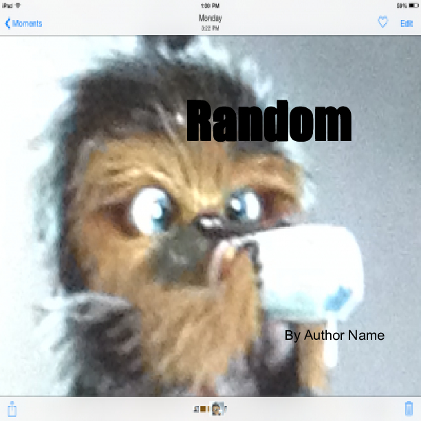 book cover