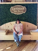 author icon