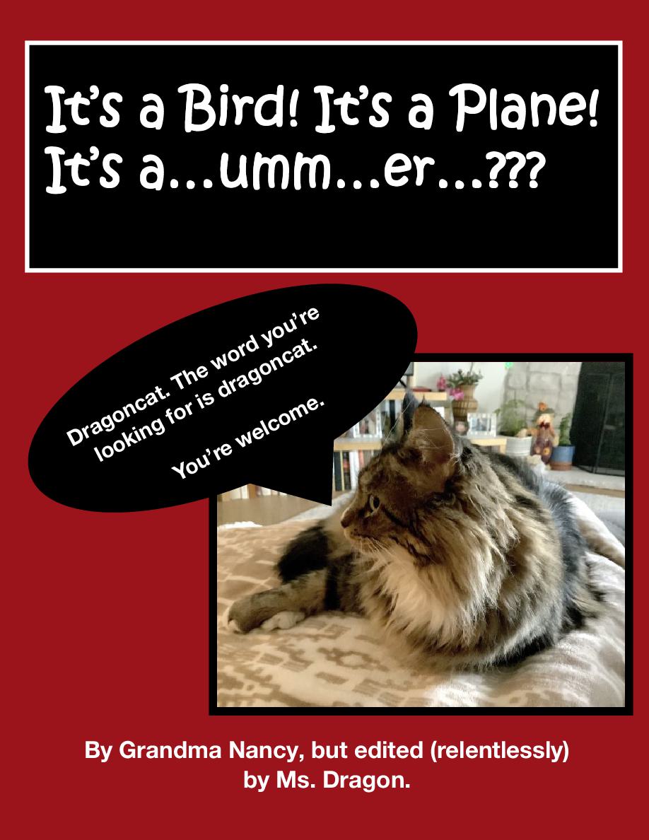 Cover of It’s a bird, it’s a plane, it’s a … ? - Or…a slightly flawed superhero