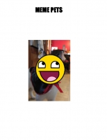 *