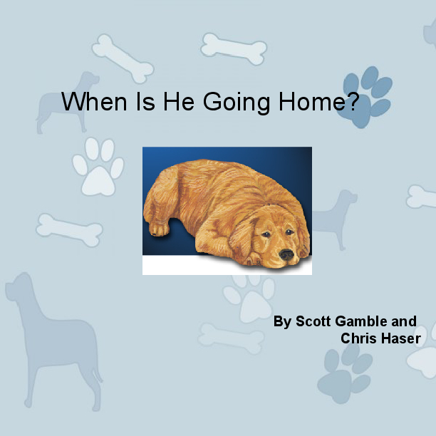 Cover of When Is He Going Home?