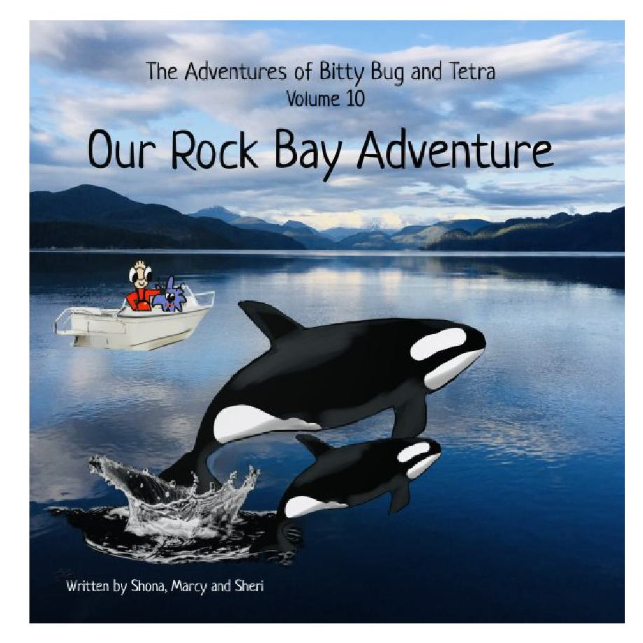 Cover of Our Rock Bay Adventure