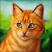 author icon
