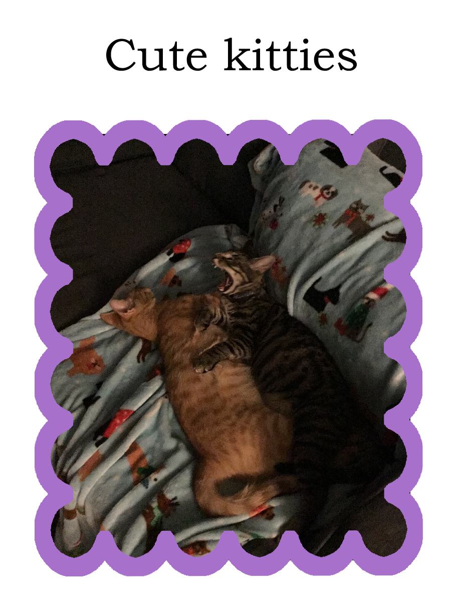 Cover of Cute kitties - Fiona’s cats