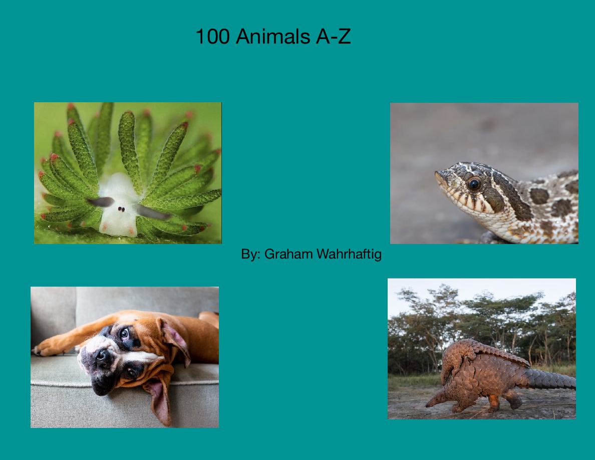 Cover of 200 Animals A-Z