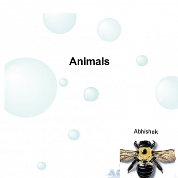 *