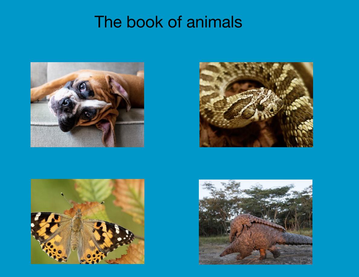 Cover of The book of animals
