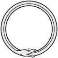 author icon