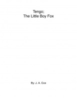 Tengo; The Little Boy Fox