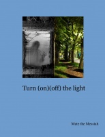  Turn (on)(off) the light  