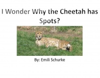 I Wonder Why the Cheetah has Spots? 