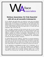 Wallace Associates 