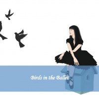 Birds in the Ballet