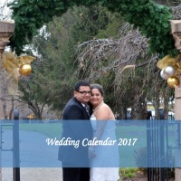 Wedding Calendar 2017