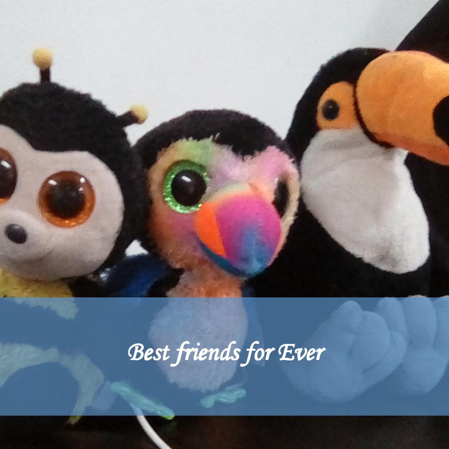 best friends ever seasons