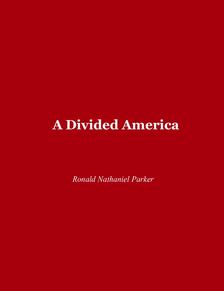 Cover of  A Divided America