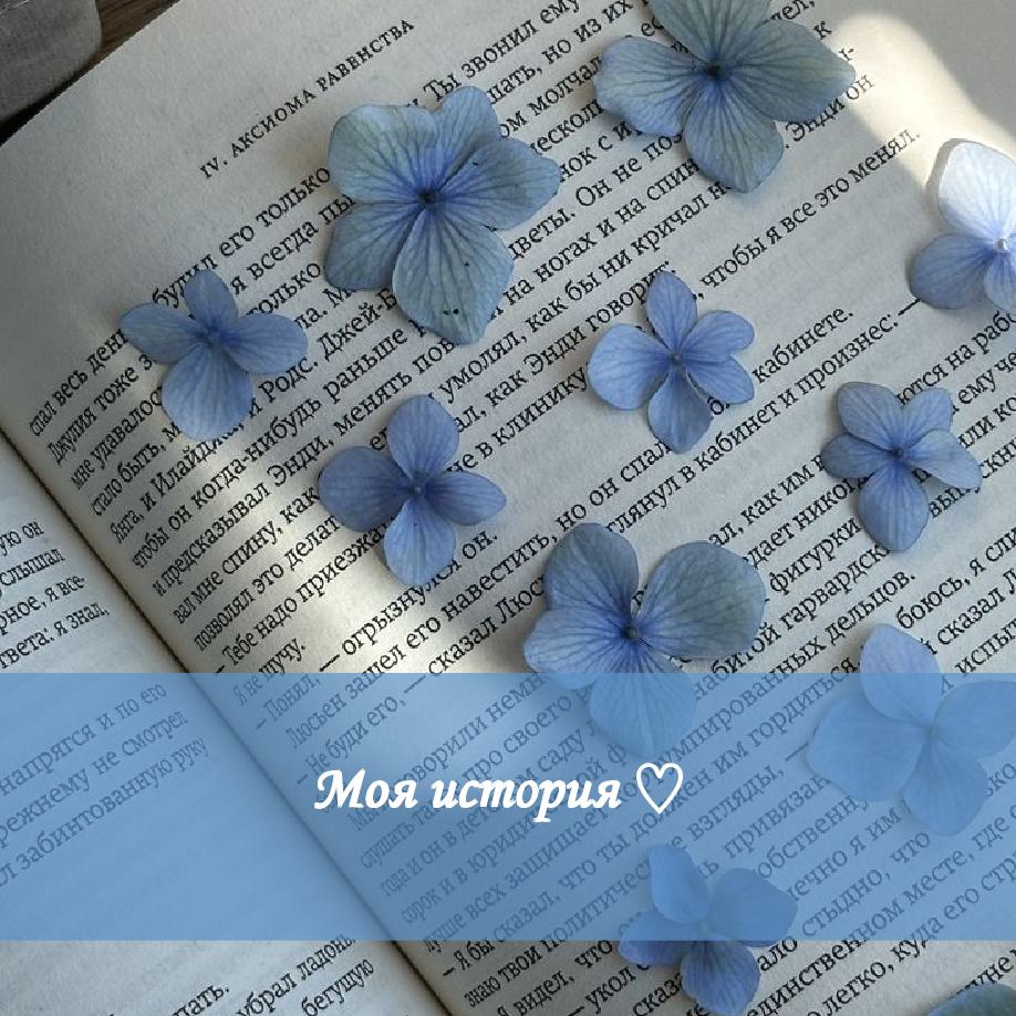 Cover of Моя история ♡ 