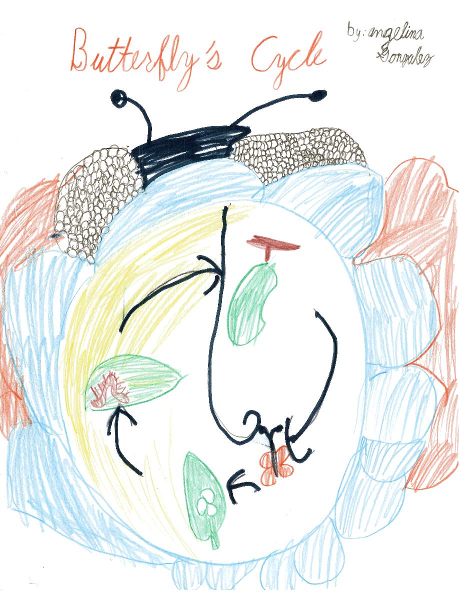 Cover of Butterfly's Cycle