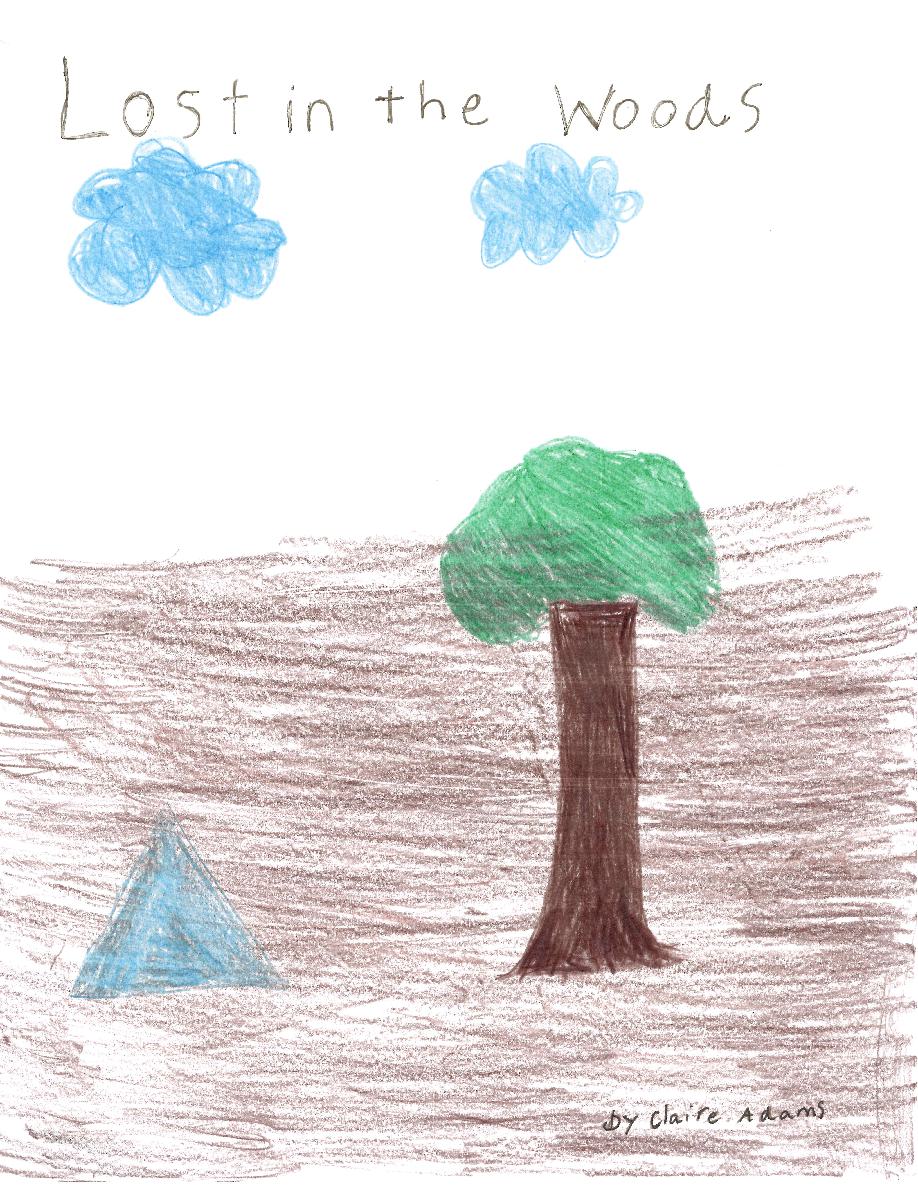 Cover of Lost in the Woods