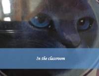 *