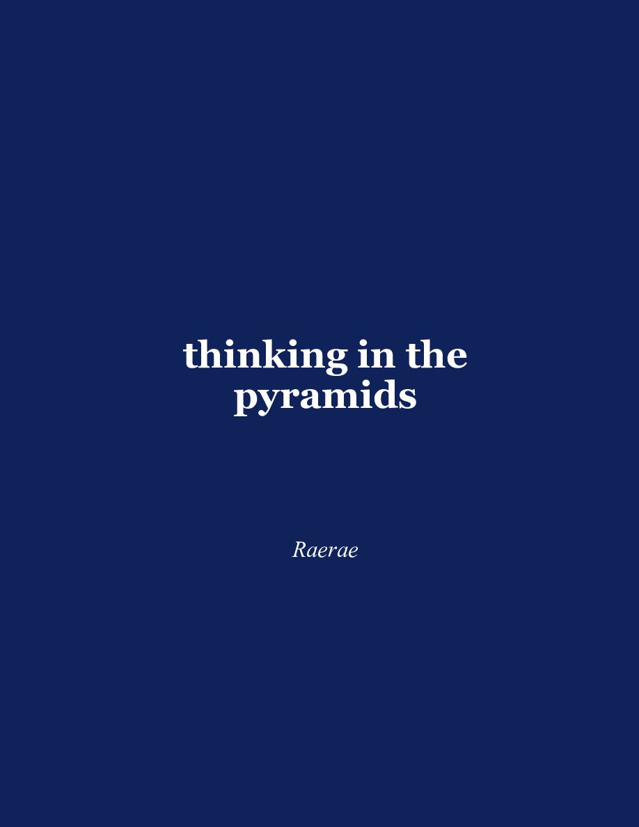Cover of thinking in the pyramids