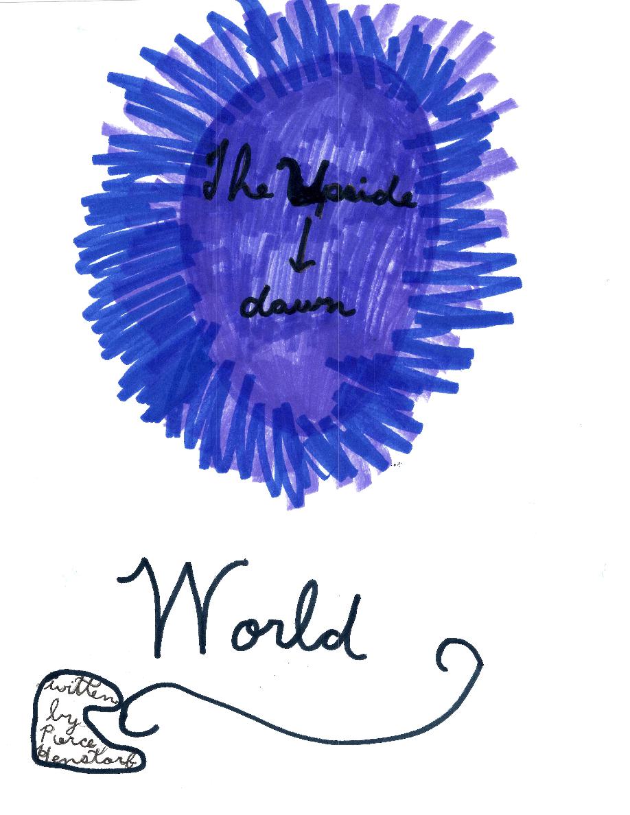 Cover of The Upside Down World
