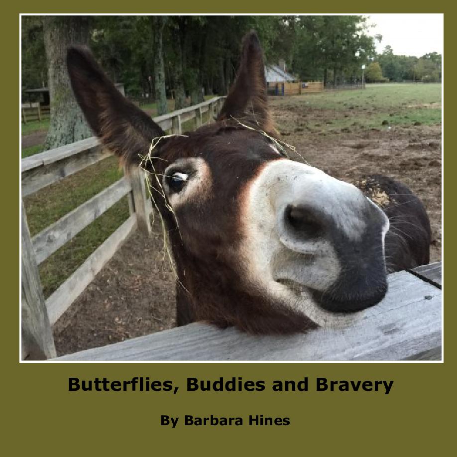 Butterflies, Buddies and Bravery