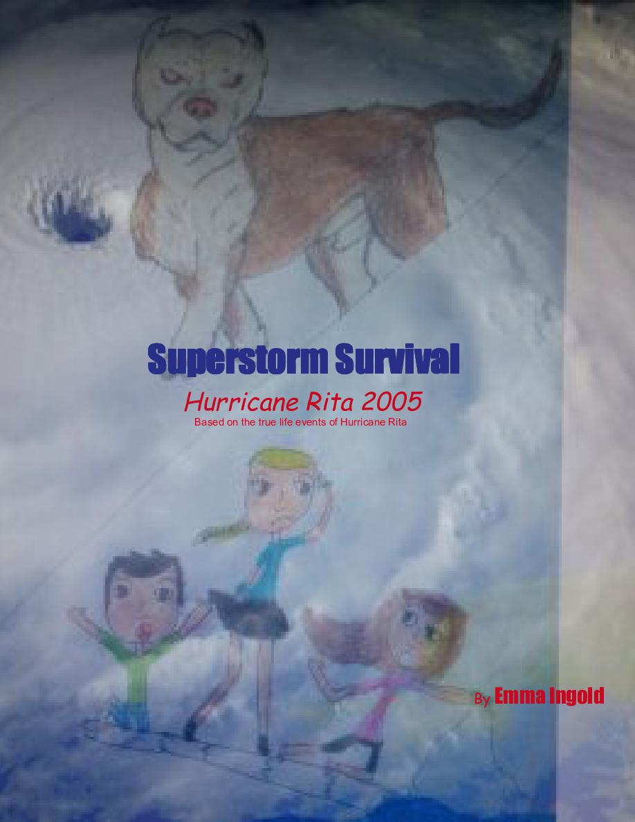 Superstorm Survival