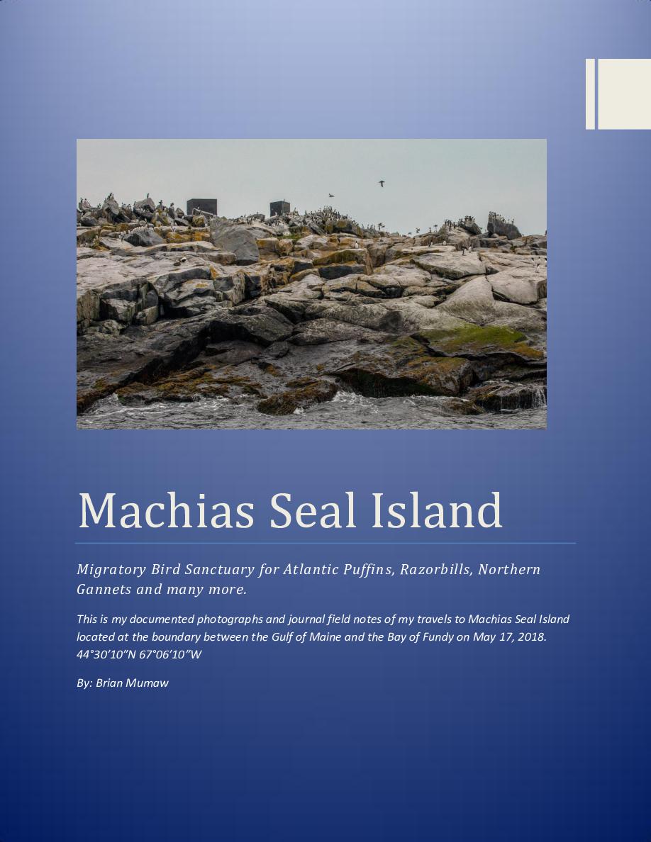 My time on Machias Seal Island